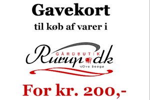 Gavekort 200 kr